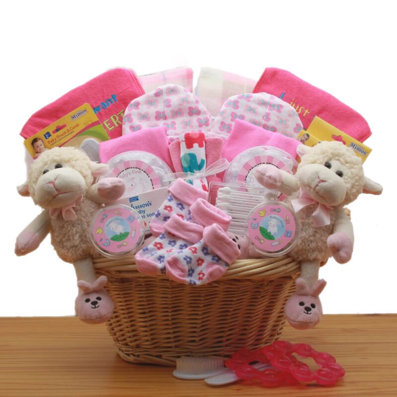 Double Delight Twins New Babies Gift Basket - Pink