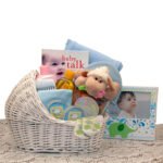 Welcome Baby Bassinet New Baby Basket-Blue